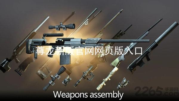 尊龙新版官网网页版入口