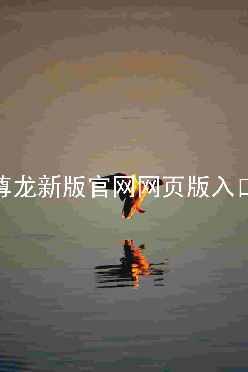 尊龙新版官网网页版入口