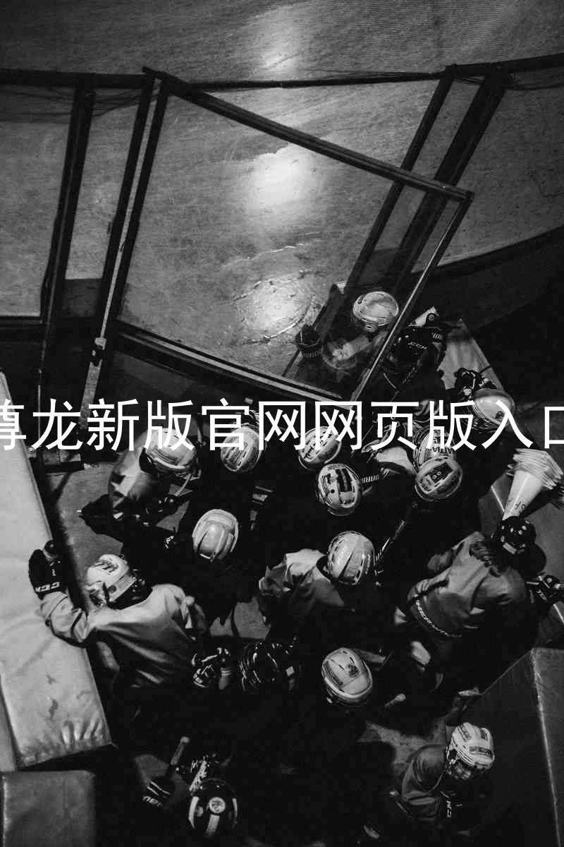 尊龙新版官网网页版入口